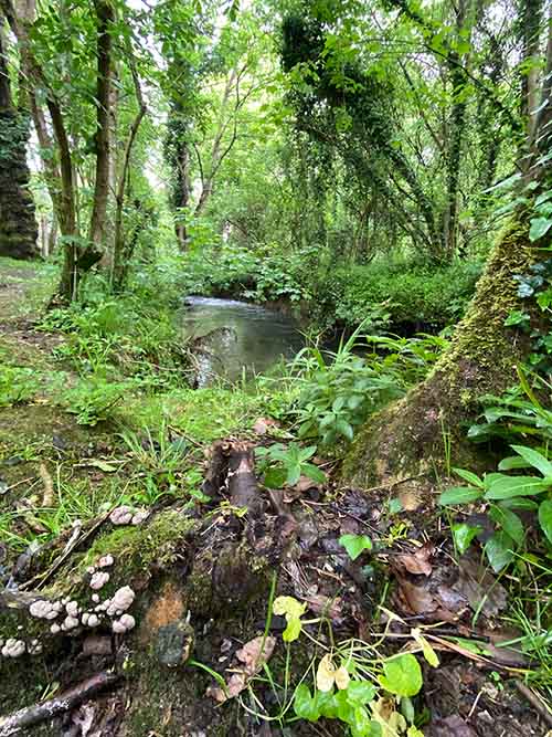 Río Peñafrancia en las cercanías de Gijón