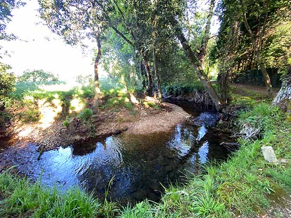 Recodos mágicos de un río asturiano