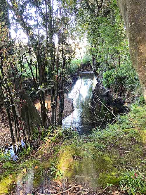 Recodos mágicos de un río asturiano
