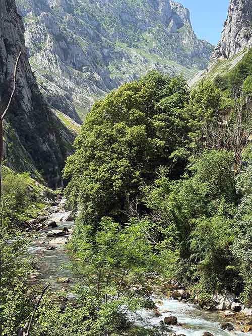 Río Cares en Asturias