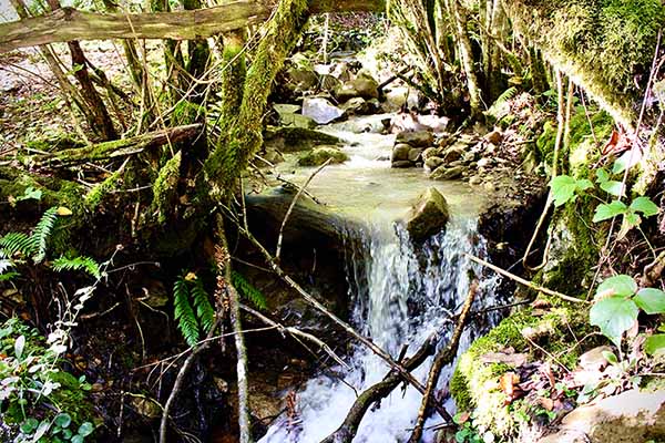 Arroyo en Asturias