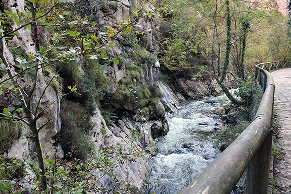 Río con abundante agua en primavera en Asturias