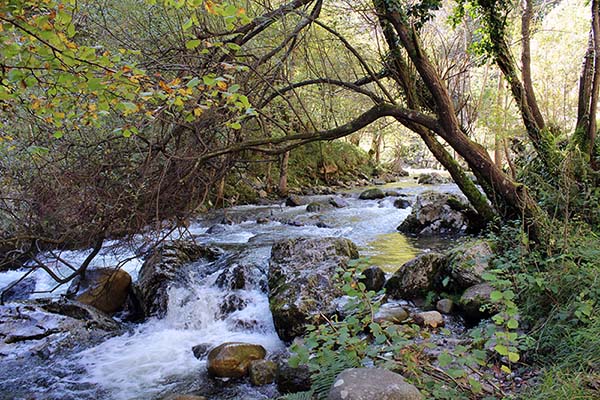 Río con abundante agua en primavera en Asturias