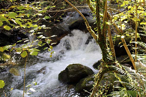 Arroyo de montaña con abundante agua del deshielo en Asturias