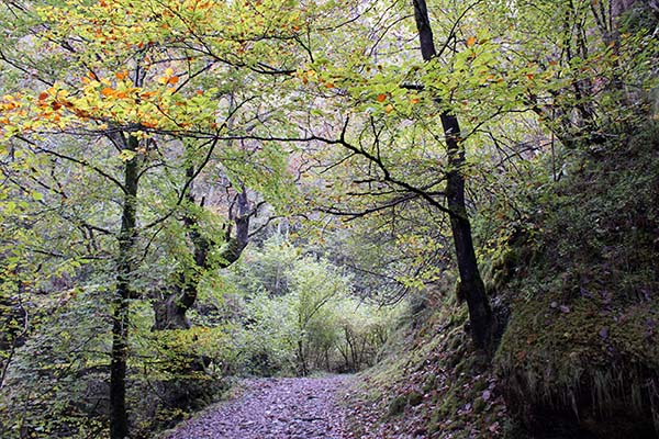 Ruta del Alba en Asturias