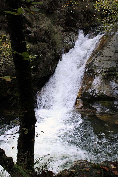 Arroyo de montaña con abundante agua del deshielo en Asturias