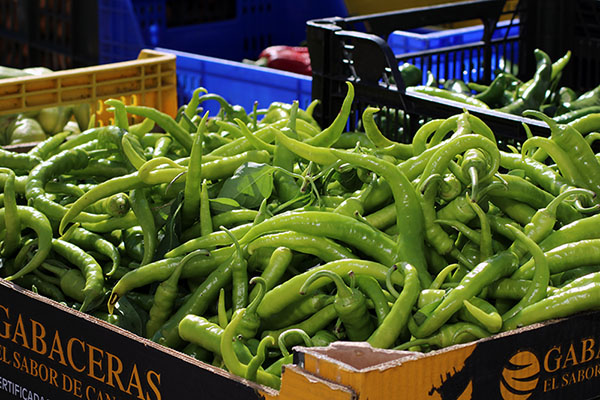 Productos asturianos de la huerta en un mercado tradicional