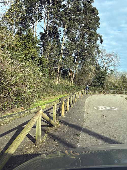 Carretera y senda peatonal que circunvala el embalse de Trasona en Asturias