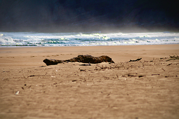 Playa en primavera en Asturias