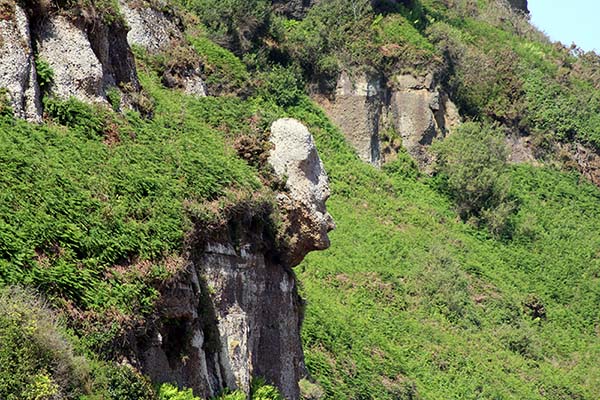Acantilados con el manto verde primaveral en Asturias