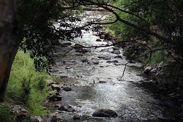 Río cargado de agua del deshielo en primavera en Asturias