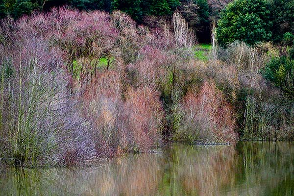 Embalse de San Andrés de los tacones en Asturias