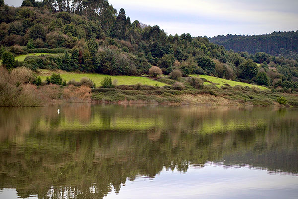 Vista del embalse de San Andrés de los tacones en Asturias