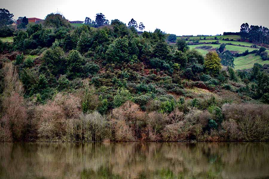 Embalse de San Andrés de los tacones en Asturias