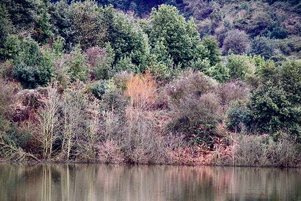 Embalses en Asturias