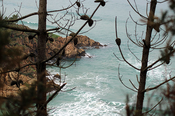 Acantilados en primavera en Asturias