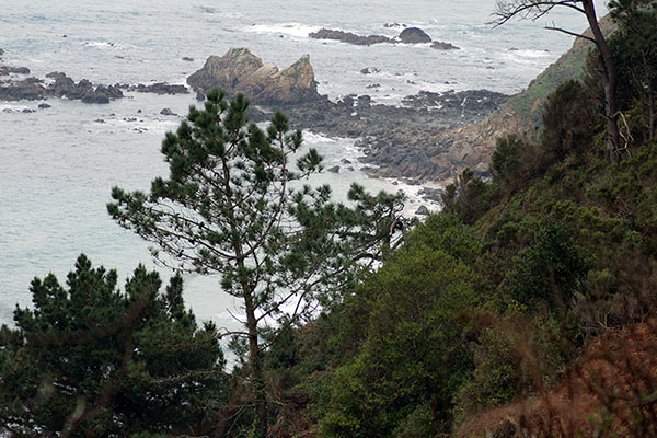 Acantilados en primavera en Asturias