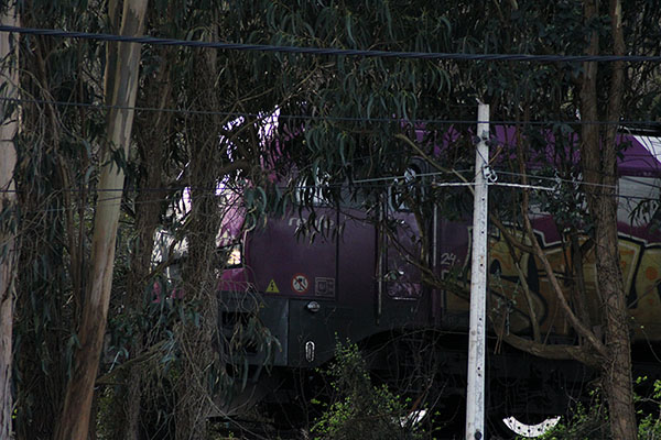Máquina de tren circulando tal que un fantasma silencioso entre la vegetación al lado mismo del embalse de Trasona en Asturias