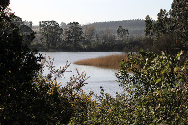 Embalse de La Granda en Gozón en Asturias