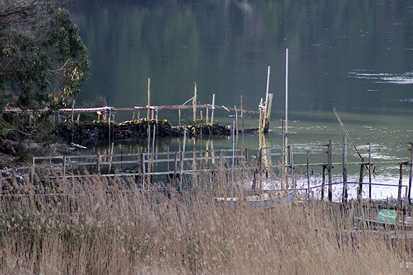 Embarcadero de El Castillo en Soto del Barco en Asturias