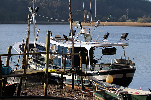 Embarcadero de El Castillo en Soto del Barco en Asturias