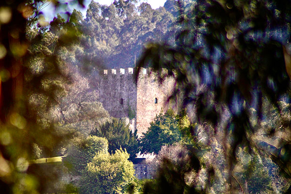 Castillo de San Martín en Soto del Barco en Asturias