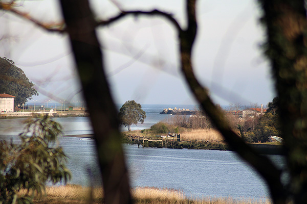Estuario y desembocadura del río Nalón visto desde el entorno de el castillo de San Martín