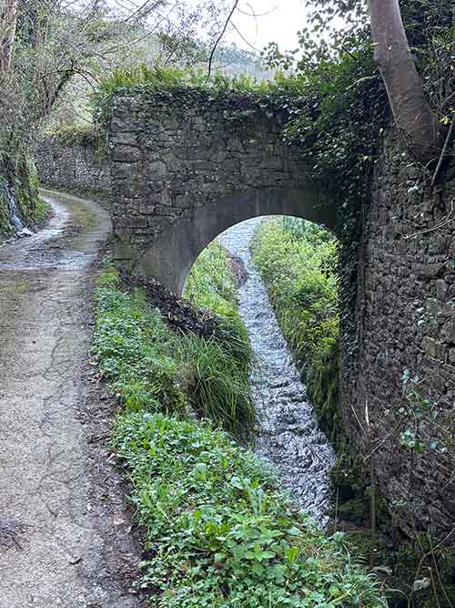 Arroyo con abundante agua del deshielo en Asturias