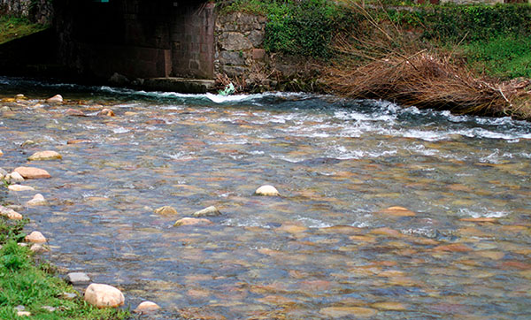 Río con abundante agua en primavera en Asturias