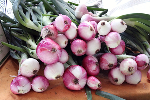 Cebollas asturianas en un mercado
