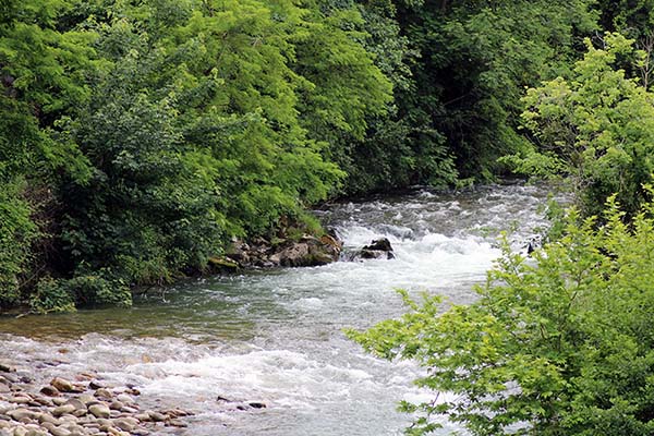 Río con abundante agua en primavera en Asturias