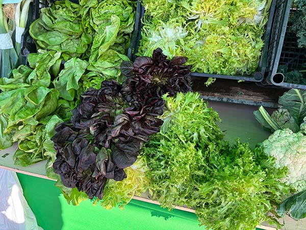 Productos de la huerta asturiana en primavera