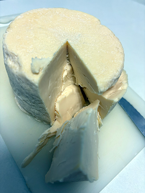 Queso asturiano Los Beyos