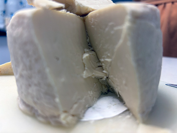 Queso asturiano Los Beyos