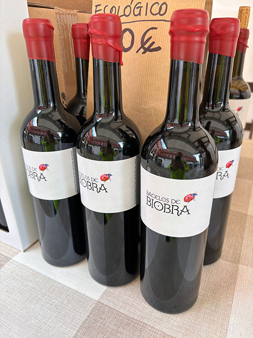 Vino tinto ecológico a la venta en un mercado asturiano
