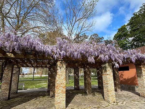 Parque Isabel la Católica en Gijón
