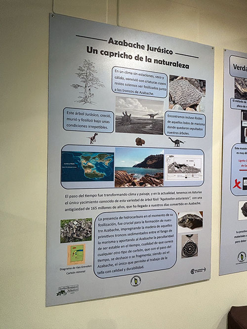 Panel explicativo sobre la formación del azabache asturiano