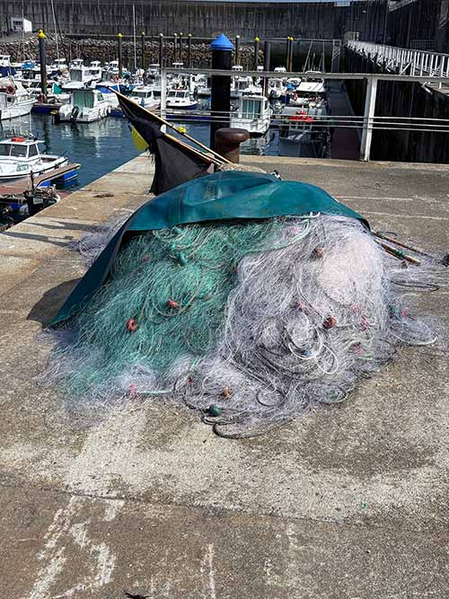 Aparejo denominado palangre para la pesca de la merluza