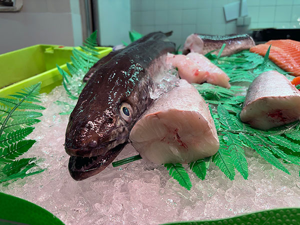 Merluza del Cantábrico