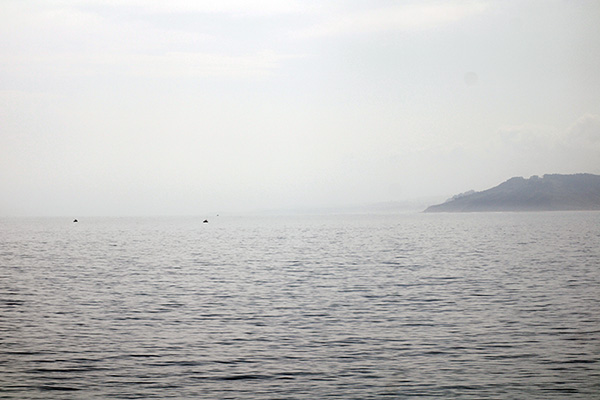 Oteando el horizonte marino desde las zonas altas de Lastres en Asturias