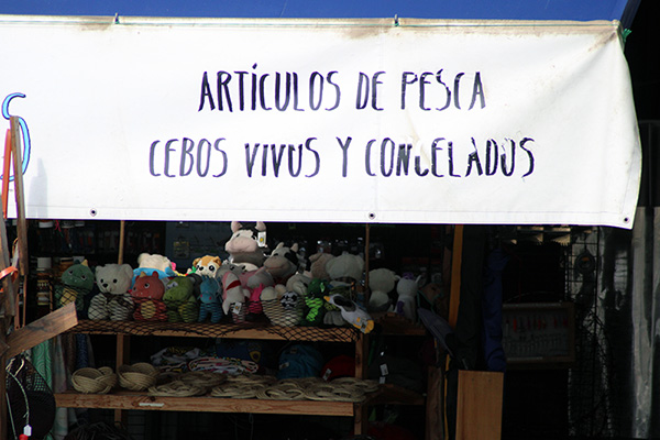 Tienda que vende cebos en el puerto de Lastres en Asturias