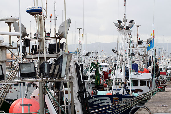 Barcos pesqueros atracados y abarloados en el puerto del Musel en Gijón