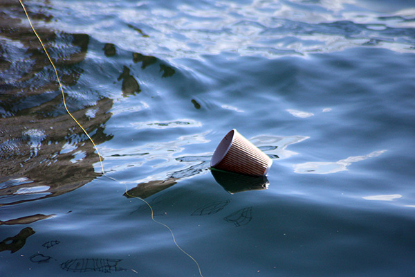 Basura flotando en la dársena del puerto del Musel en Gijón