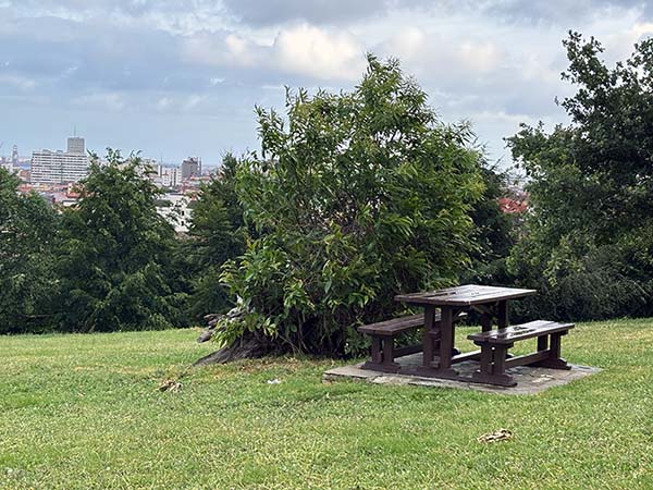 Parque de los Pericones en Gijón