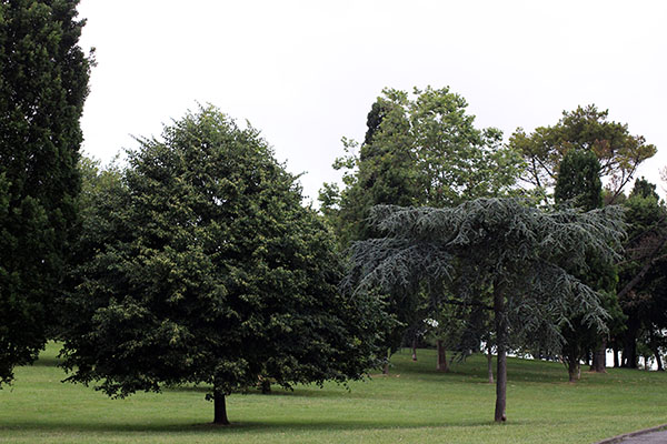 Parque de los Pericones en Gijón