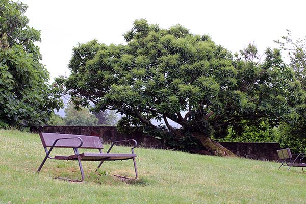 Parque de Los Pericones en Gijón