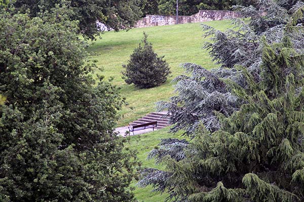 Arboleda en el parque de Los Pericones en Gijón