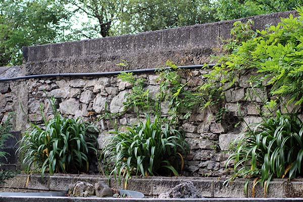 Muro de fusilamiento del cementerio del Suco en Gijón