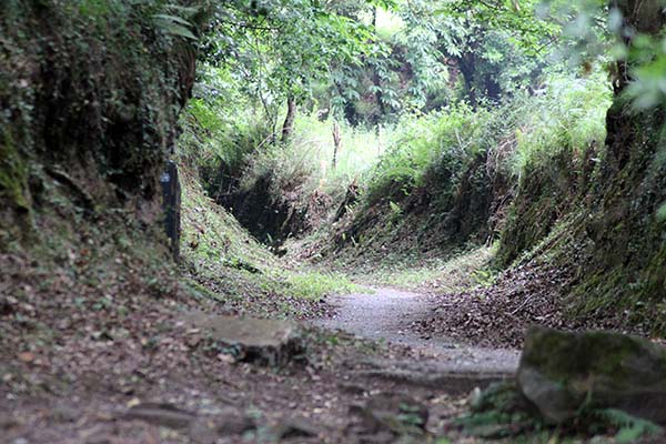Subiendo caminando al monte Naranco en Oviedo