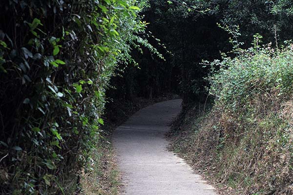 Subiendo caminando al monte Naranco en Oviedo